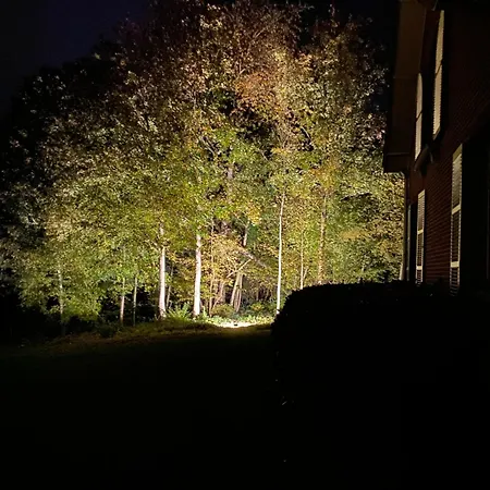 Villa Wood Side Avec Piscine Dinant