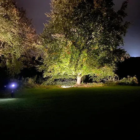 Wood Side Avec Piscine Villa Dinant