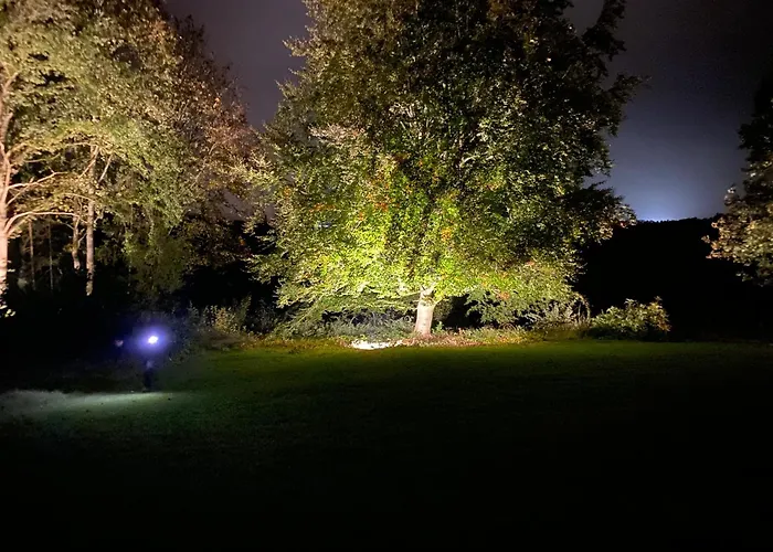 Wood Side Avec Piscine Villa Dinant